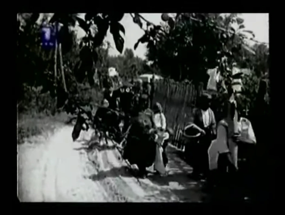 Vlaški običaji 1967 godine