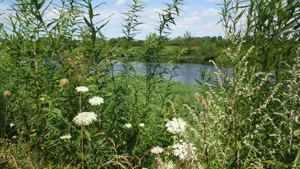 W środę ruszyły prace związane z zagospodarowaniem bulwarów nad rzeką Narew w Łomży (Podlaskie). W ramach projektu powstaną m.in. ścieżki rowerowe i piesze oraz port rzeczny z mariną. Inwestycje w tym miejscu będą kosztowały blisko 13,9 mln zł.