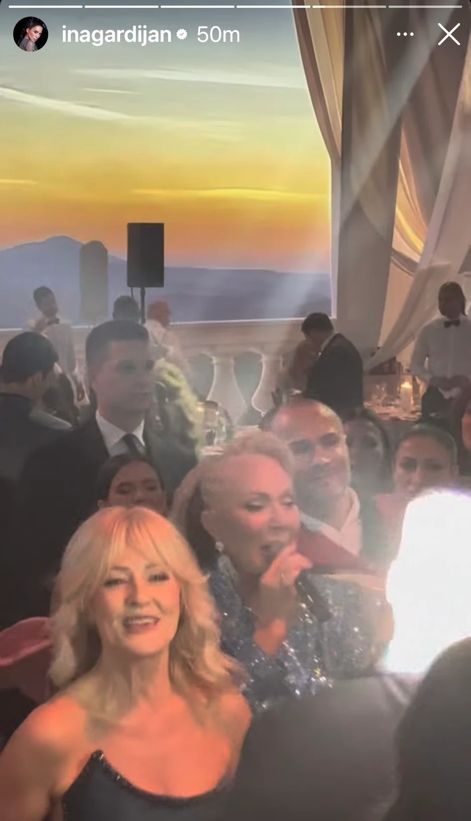 Lepa Brena peva na svadbi