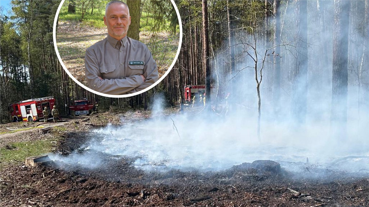 Groźny podpalacz terroryzuje Kliniska Wielkie? Nadleśnictwo oferuje 10 tys. zł nagrody za pomoc w złapaniu
