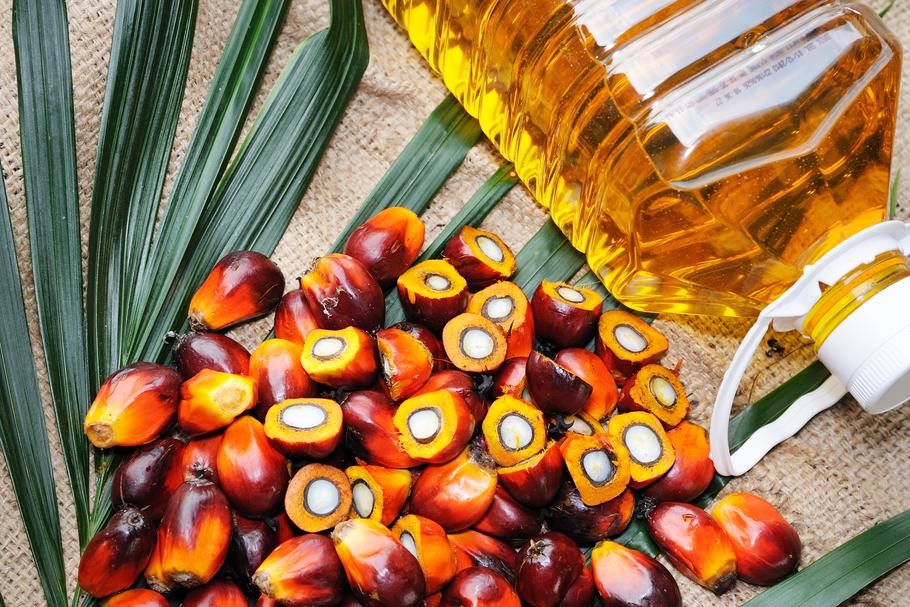 Olej Palmowy