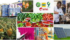 7 most prominent industries in Nigeria that contribute to the country's wealth