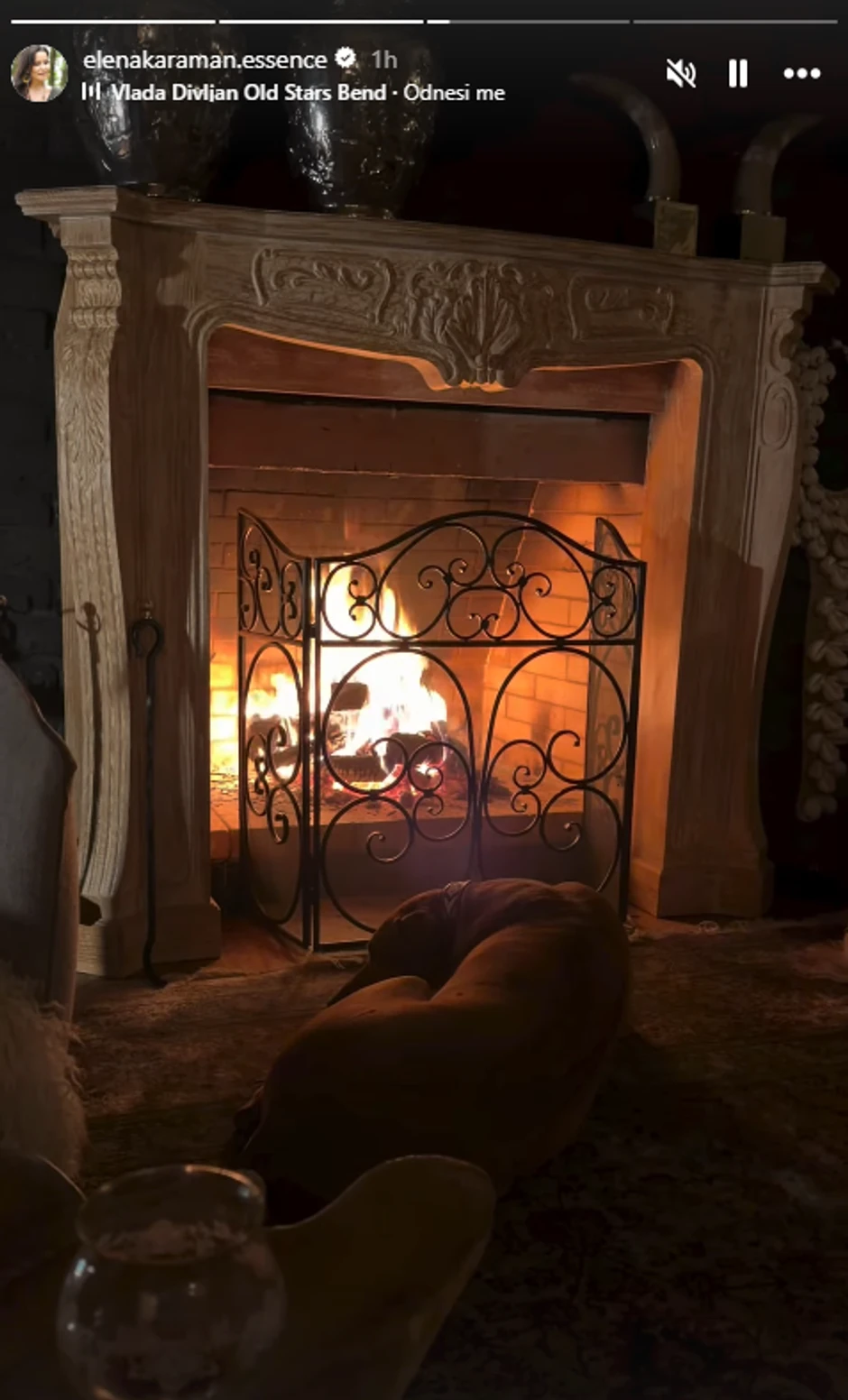 Elena Karić kuća na Kosmaju