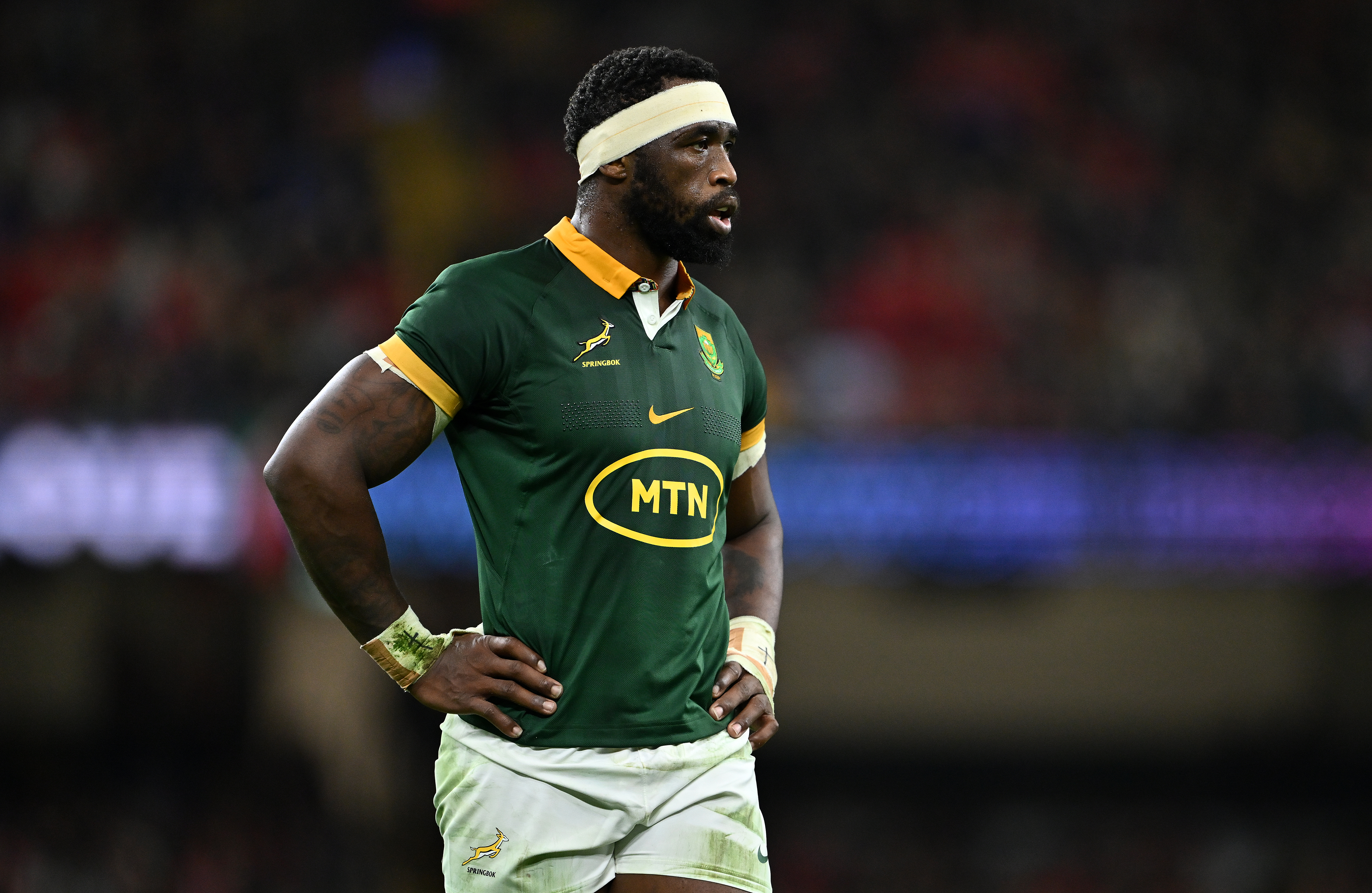 Rugby : Kolisi dénonce la défaite des Springboks contre l'Australie
