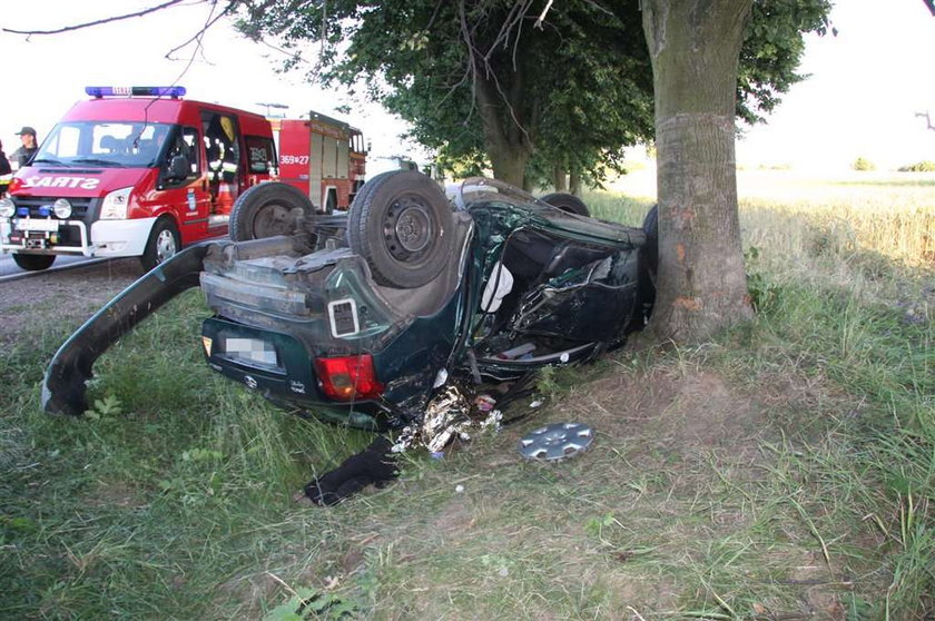 Tragedia rodzinna. Roztrzaskali się na drzewie