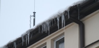 Te sople zagrażają życiu! Można za nie dostać mandat