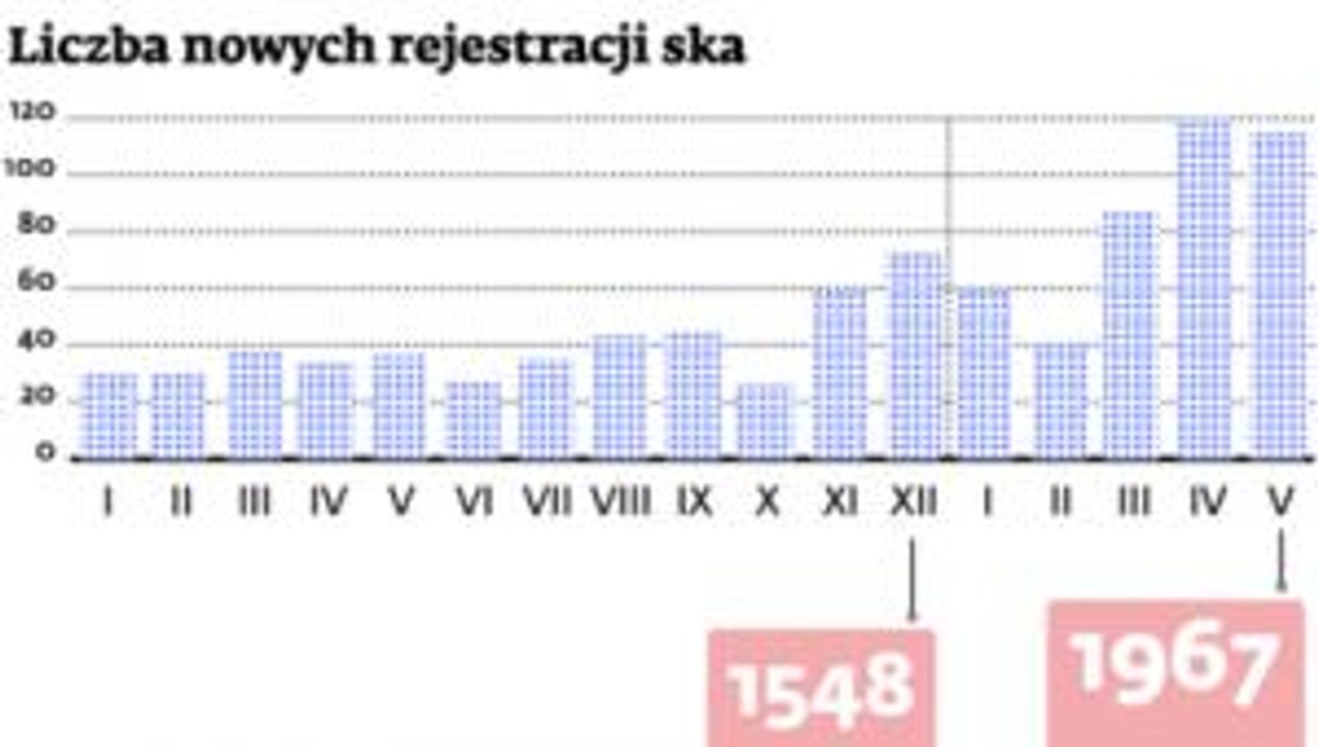 Liczba nowych rejestracji ska
