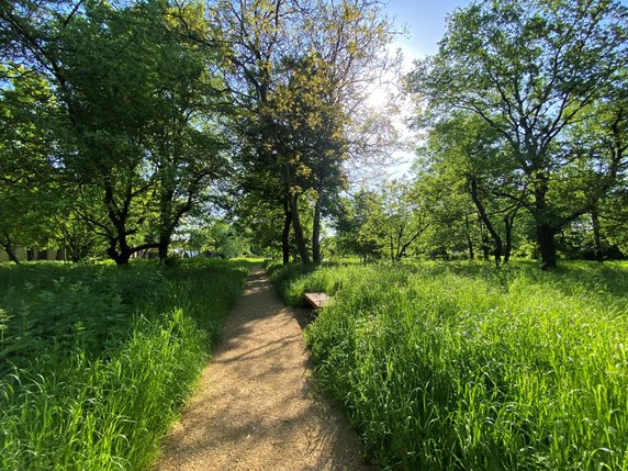 Jest naturalny. Park wokół Dworku Matejki w Krakowie po remoncie