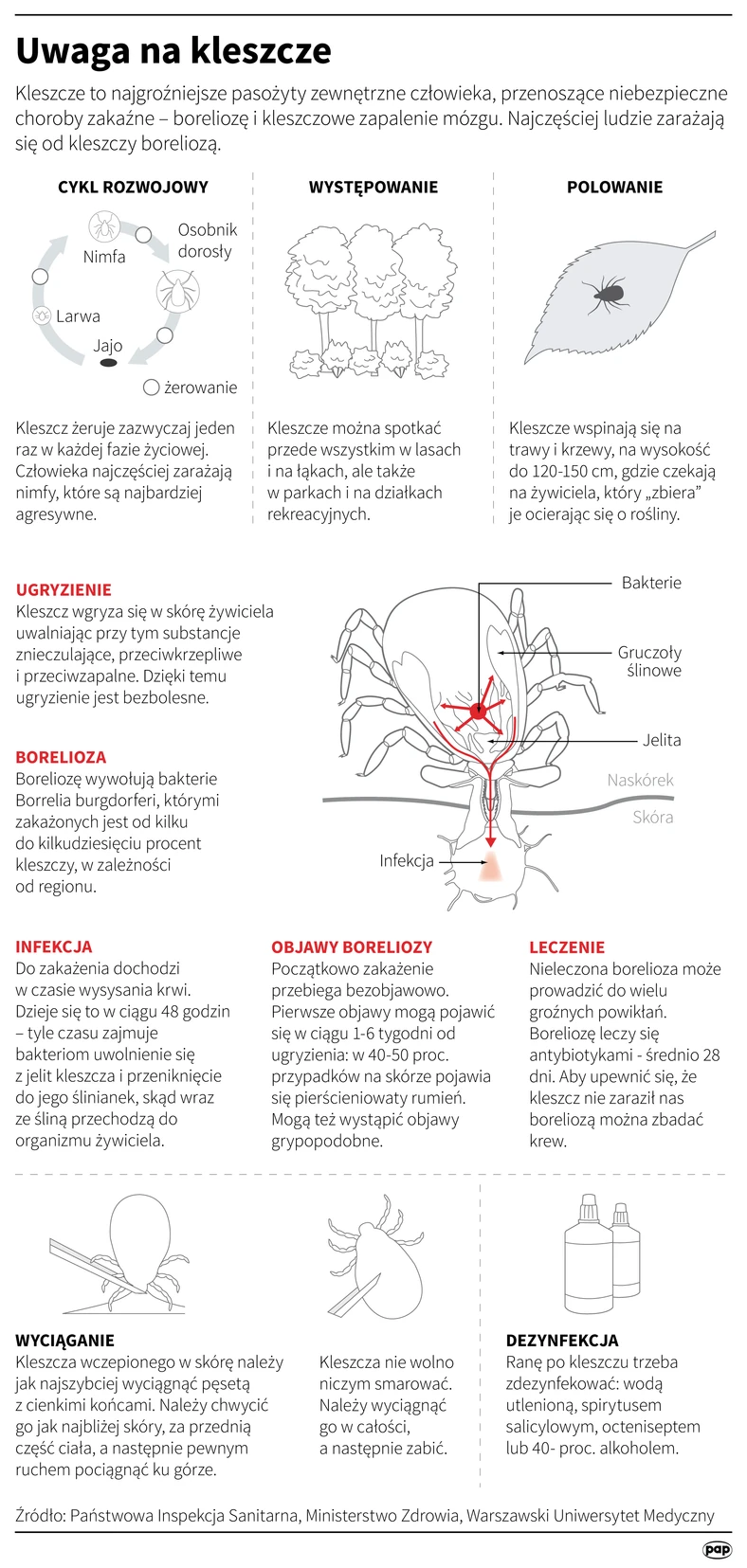 Kleszcze - infografika