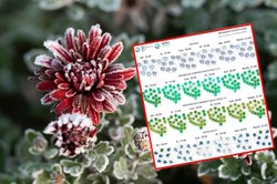 Nad Polskę napływa powietrze polarne. Nocami wróci mróz