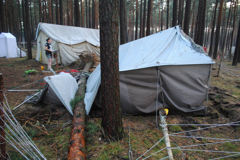 Obóz harcerski w Suszku po wichurze