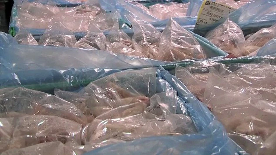 Kada pilići dovoljno porastu bicaju ugušeni gasom, očišćeni i iseckani u devet delova