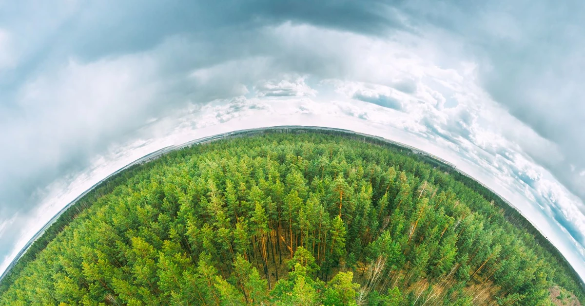 EKO-edukacja w szkole – jak uczyć młodych ludzi odpowiedzialności za planetę