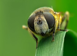 Przyjemny QUIZ z biologii. Uczeń da radę, a Ty? Dwa pytania to podstęp