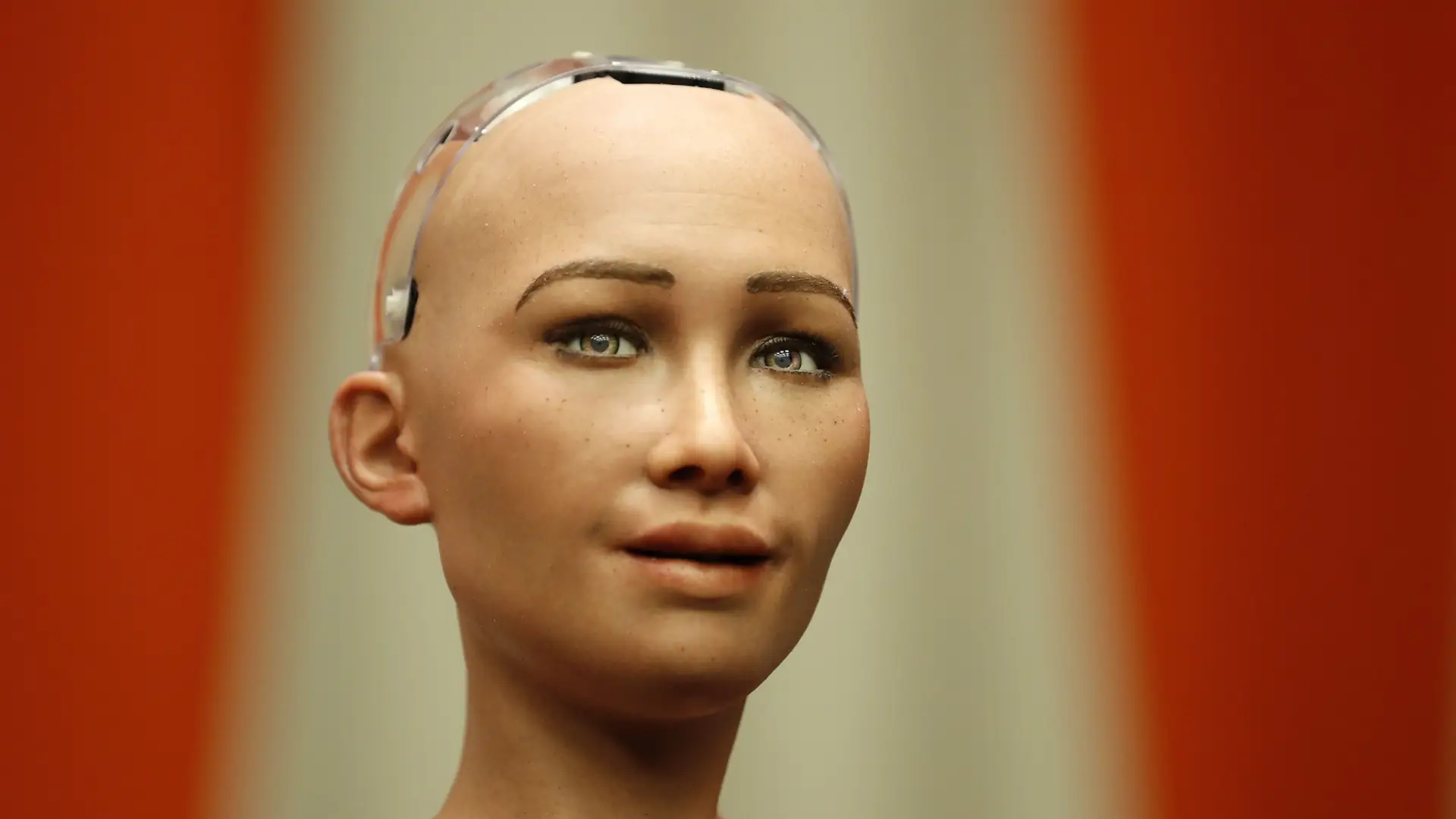 Pierwszy robot z obywatelstwem udzielił wywiadu. Sophia mówi o posiadaniu rodziny