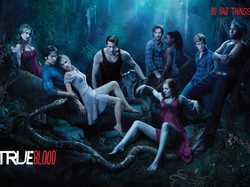 Nowe wilkołaki w serialu "Czysta krew"