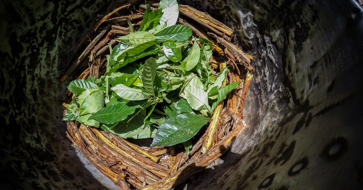 Česká republika: vězení pro tři Poláky za pseudošamanské rituály