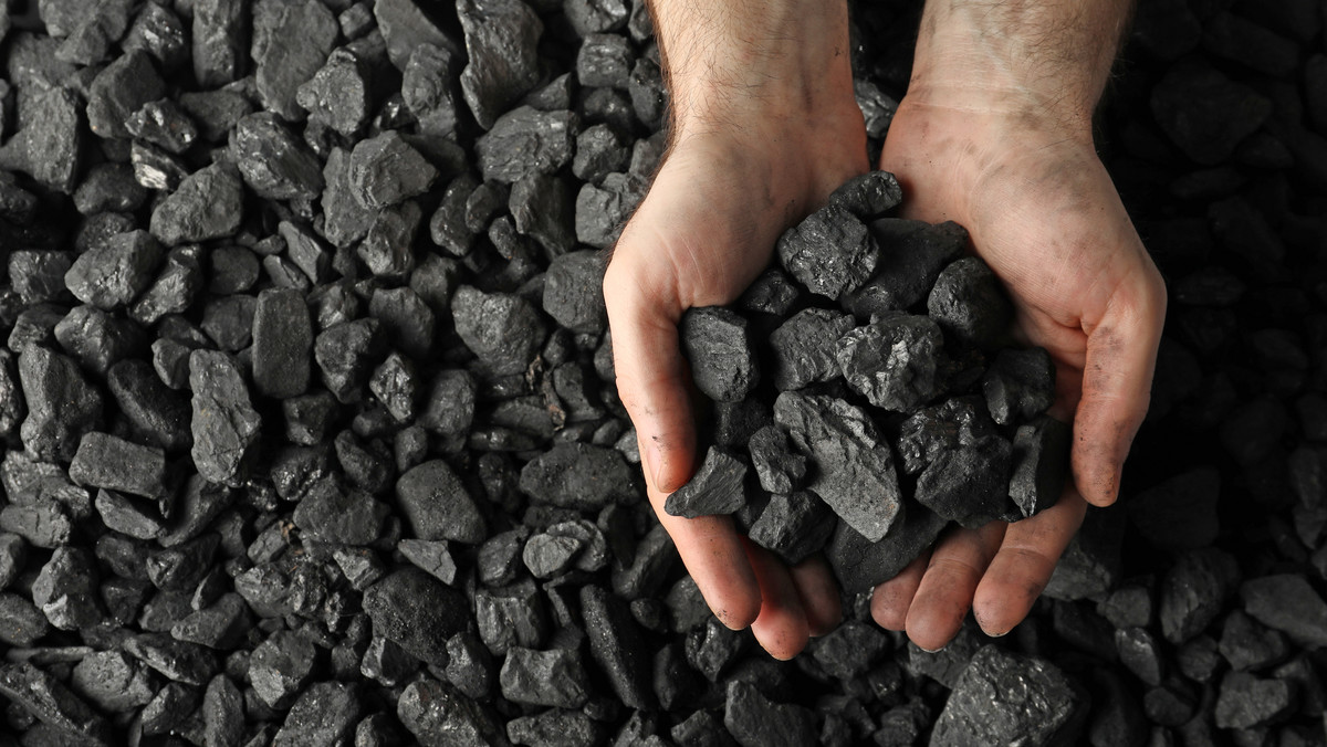Dodatek węglowy 2023/24. Czy wróci rządowe wsparcie w zakupie węgla?
