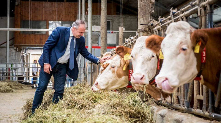 A vendéglátók, közétkeztetők is válasszák a hazait