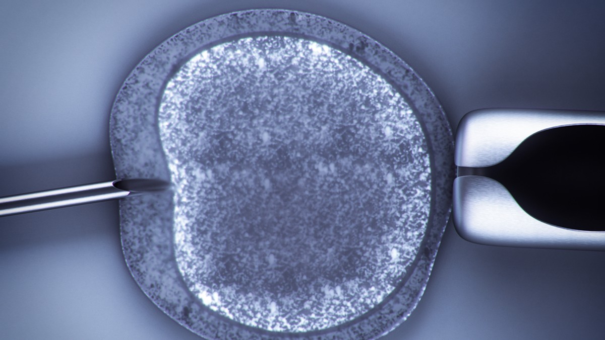 Uchwaloną w lutym uchwałę ds. in vitro w Gdańsku zakwestionował pomorski wojewoda. Ale dziś temat ten znów wrócił do Ratusza. - Spełniliśmy teraz wszystkie formalne wymagania. Mamy nadzieję, że już od września gdańszczanie będą mogli liczyć na finansowe wsparcie w ramach naszego projektu – mówi Onetowi Piotr Borawski, szef gdańskiej Platformy Obywatelskiej.