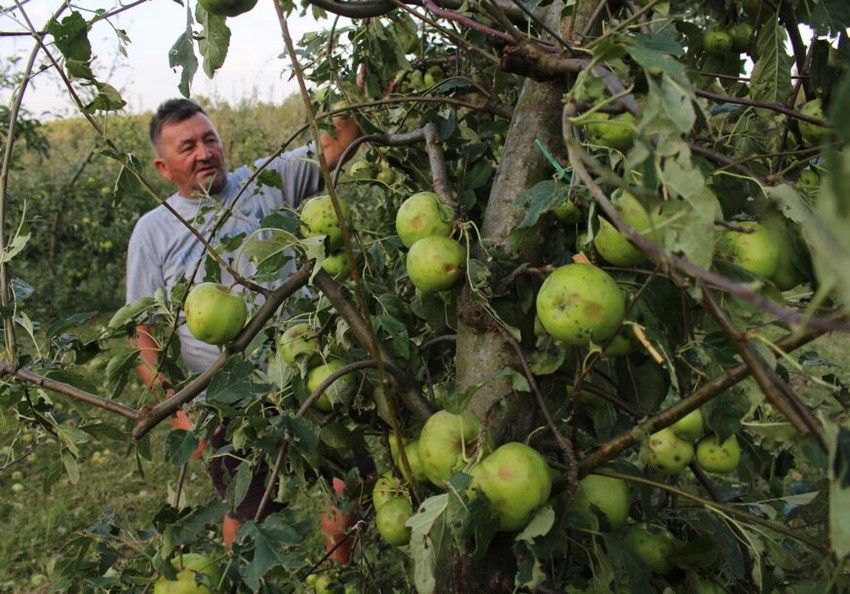klimatske promene poljoprivreda