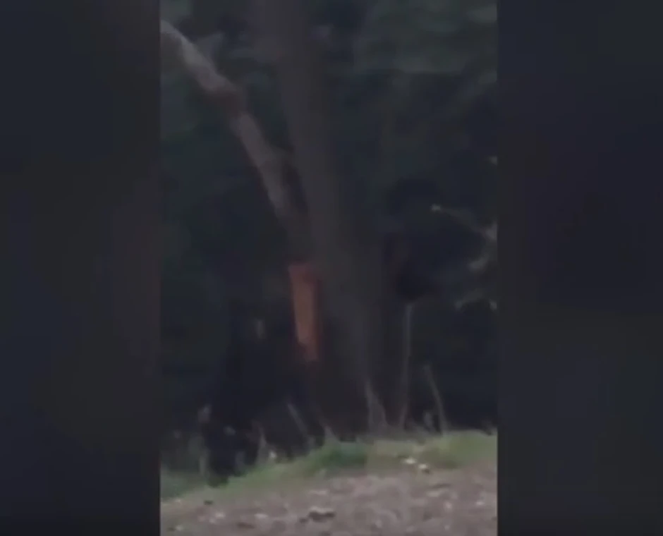 Na snimku se jedva šta vidi jer je padao mrak