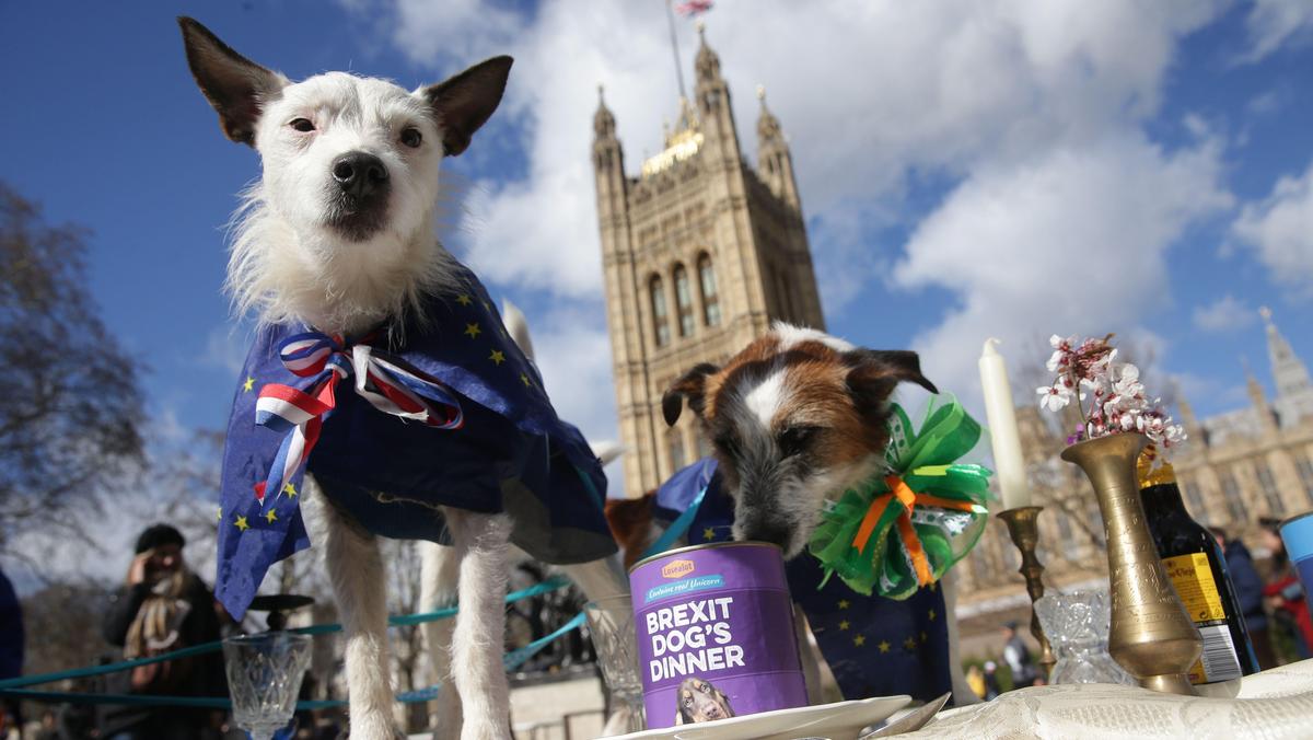 protest przeciwko brexitowi