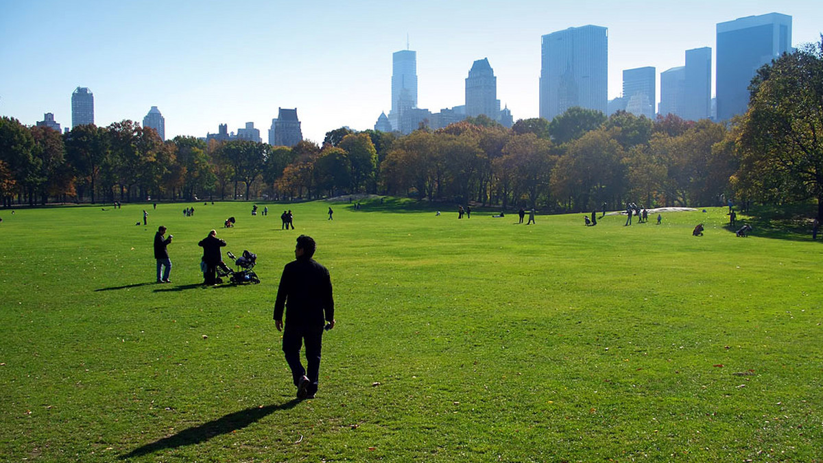 Nowojorska policja zaczęła karać mandatami muzyków, którzy w nowojorskim Central Parku grają na różnych instrumentach albo śpiewają. Za "zakłócanie spokoju i zadeptywanie trawy" można zapłacić do 350 dolarów grzywny.