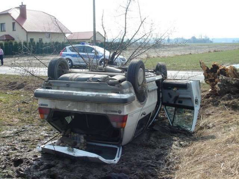 Uderzył Golfem w drzewo