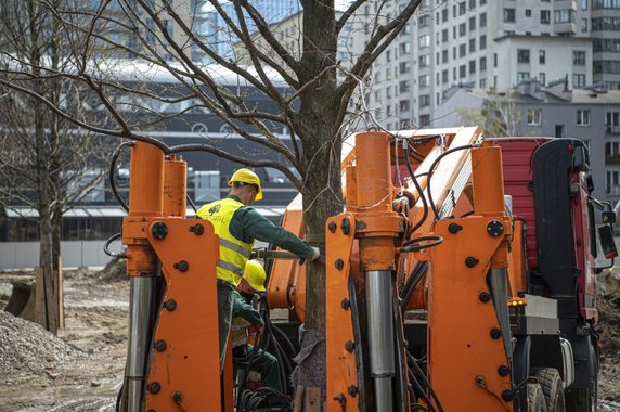 Warszawa: przesadzą, zamiast wycinać. 42 duże drzewa trafią do parku