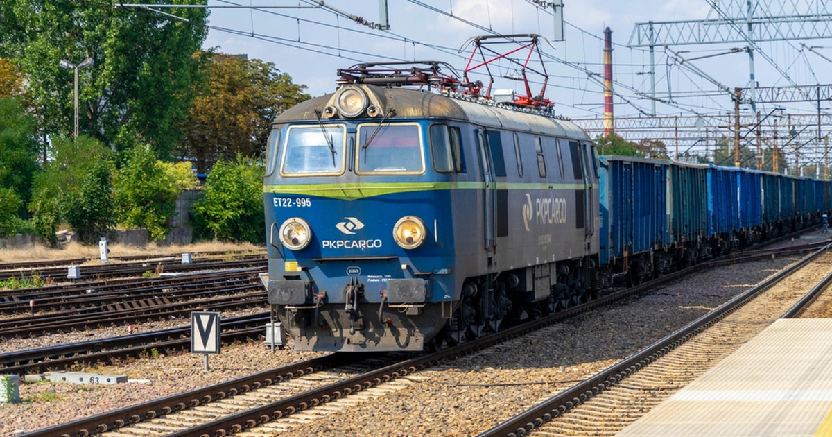 Streiks in Deutschland.  Der polnische Carrier spricht über die Konsequenzen