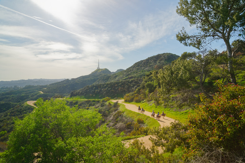 Griffith Park w Los Angeles. To w nim znaleziono ciało Jane Doe nr 18