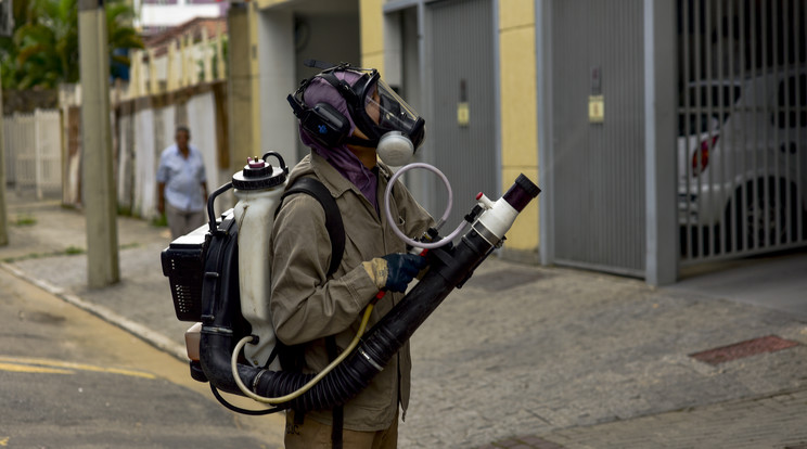 A Zika vírus eddig még nem jelentett veszélyt Európára /Fotó: AFP