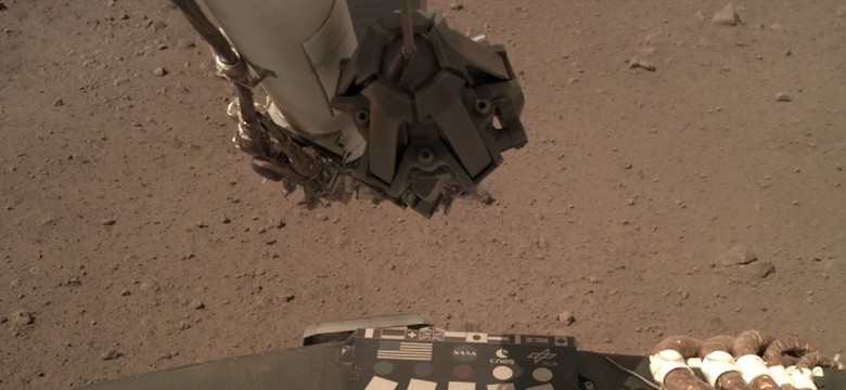 NASA opublikowała zdjęcia z Marsa. Jest na nich polska flaga