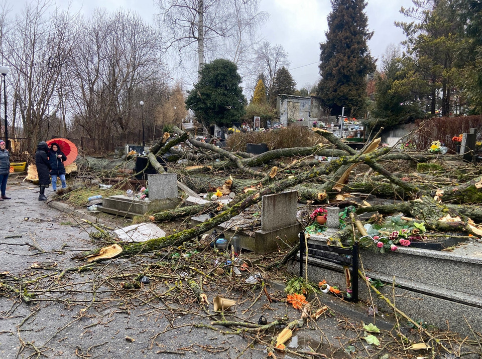 Zniszczenia na cmentarzu w Dusznikach-Zdroju