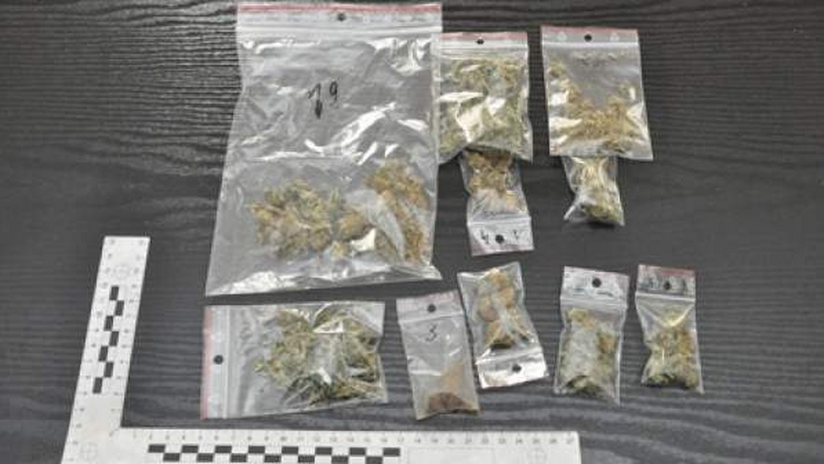 370 gramów marihuany, ponad 40 g. haszyszu oraz kilka tabletek extasy znaleźli policjanci w wynajmowanym garażu i aucie należącym do 23-letniego mężczyzny z Lublina.
