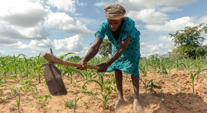 Climate extremes: A year ago, Josephine Ganye was hit by a devastating cyclone -- now she is struggling with a crippling drought