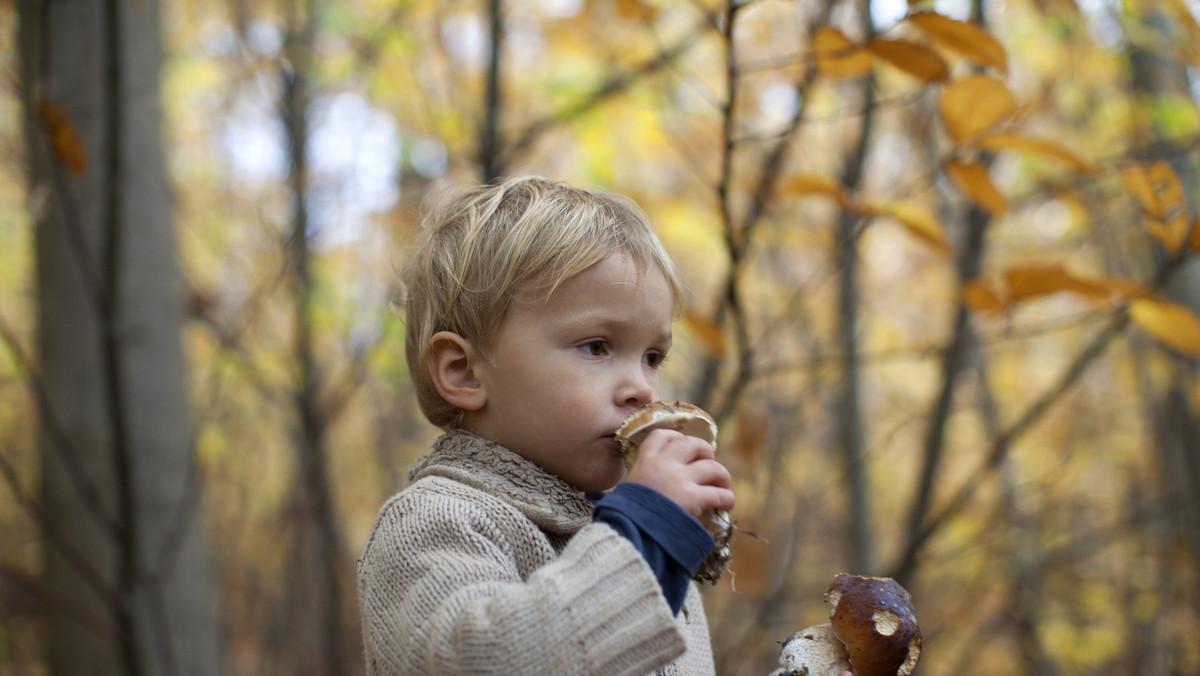 Sezon na grzyby. Czy dzieci mogą jeść grzyby i pieczarki?