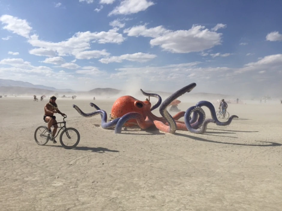 Burning Man festival