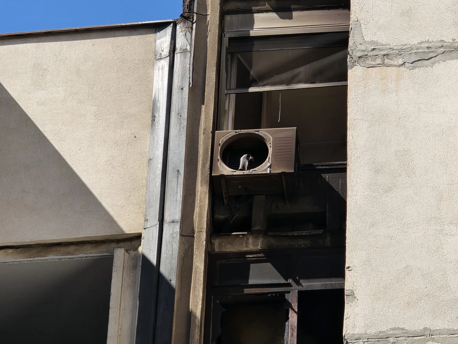 Požar oštetio spratove iznad