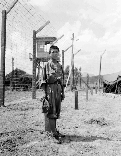 Krwawa wojna koreańska 1950-1953