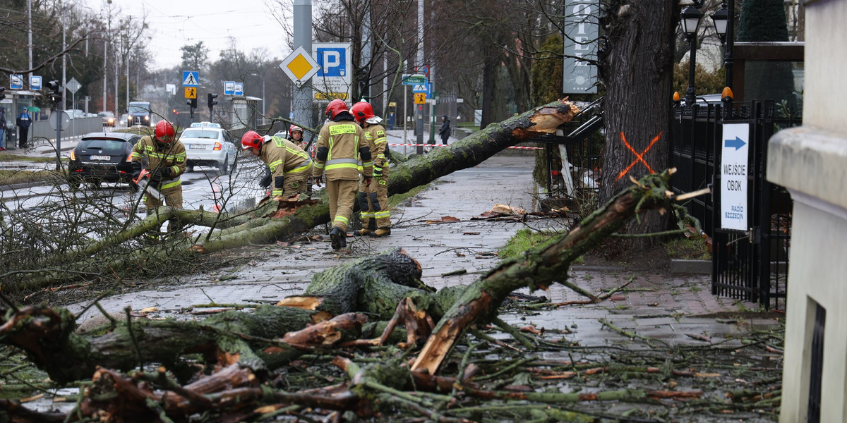 Zniszczenia po silnym wietrze w Szczecinie