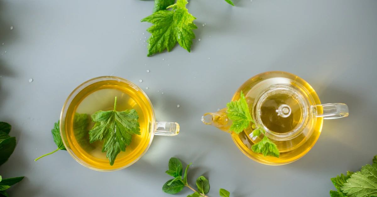 Czy herbata może wzmacniać kości? Nowe badania dają nadzieję starszym kobietom