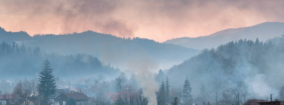 Europejska Agencja Środowiska szacuje, że w 2019 r. smog spowodował w Polsce blisko 39,3 tys. przedwczesnych zgonów.