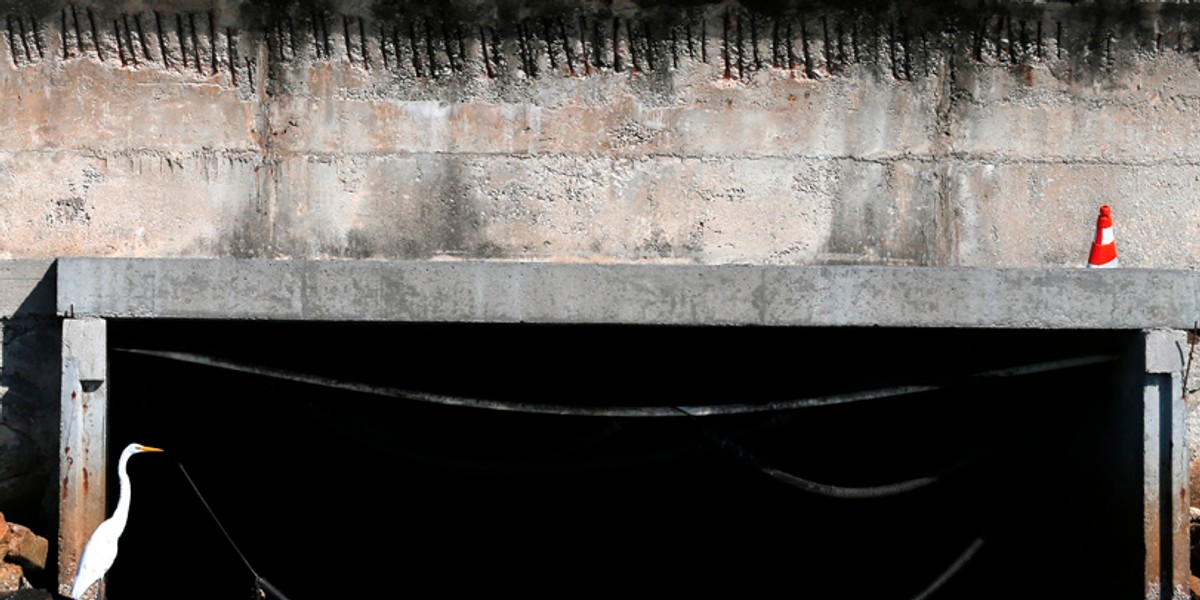 A bird sits next to a sewage canal at the Guanabara Bay