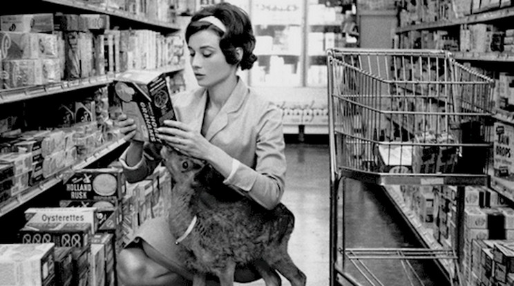 Audrey Hepburn az őzikéjével indult bevásárolni - ez is egyike kedvenc fotóinknak / Fotó: Reddit