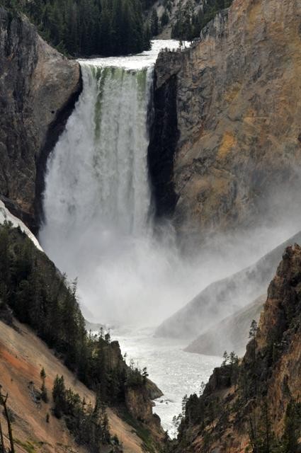 Galeria USA - Park Narodowy Yellowstone, obrazek 11