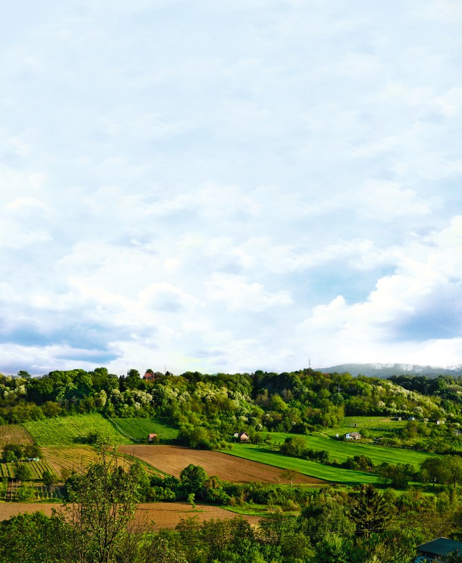 Fruška Gora