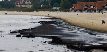 Cuchnące glony na plaży w Sopocie