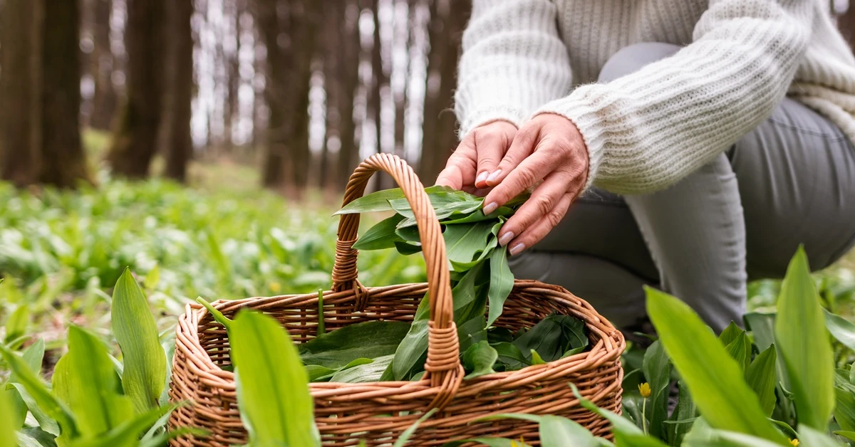 Czy to najlepsza przyprawa na świecie? Właściwości prozdrowotne są nie do przecenienia